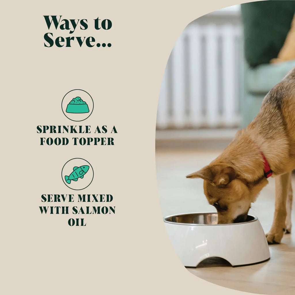 Dog eating from a bowl, with serving suggestions: sprinkle Green Lipped Mussel powder as a food topper or mix with salmon oil