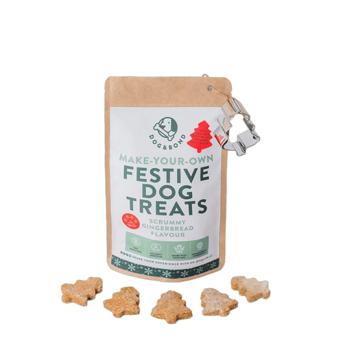 Make-Your-Own Festive Dog Treats pack, gingerbread flavour, cut out on a transparent background
